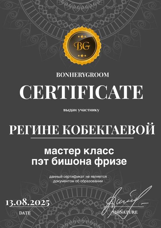 Документ или сертификат