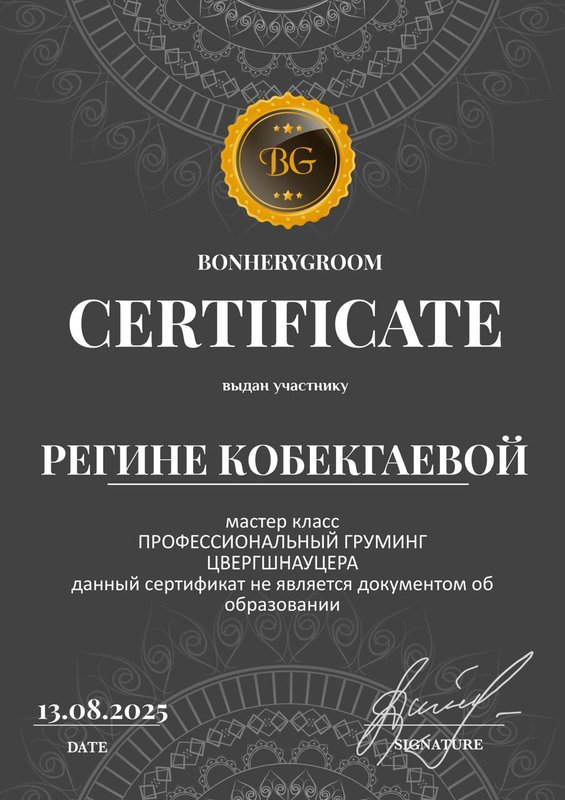 Документ или сертификат