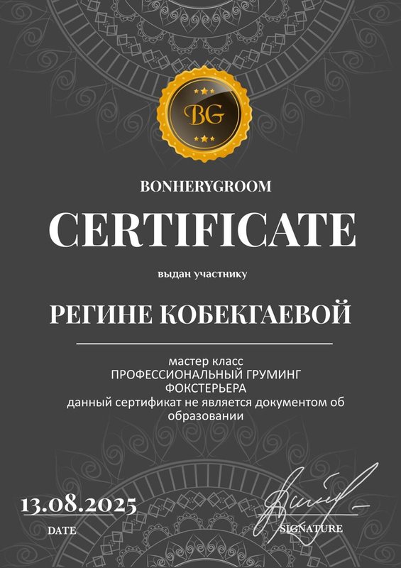 Документ или сертификат