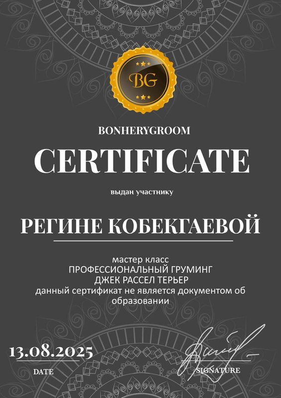 Документ или сертификат