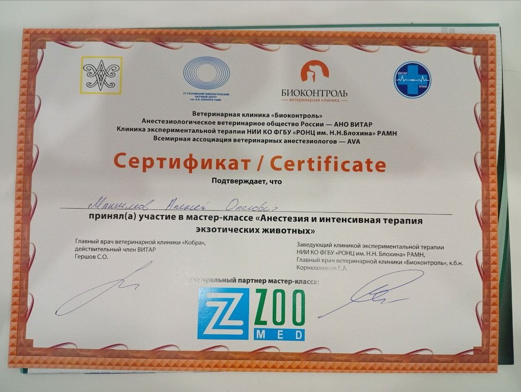 Документ или сертификат