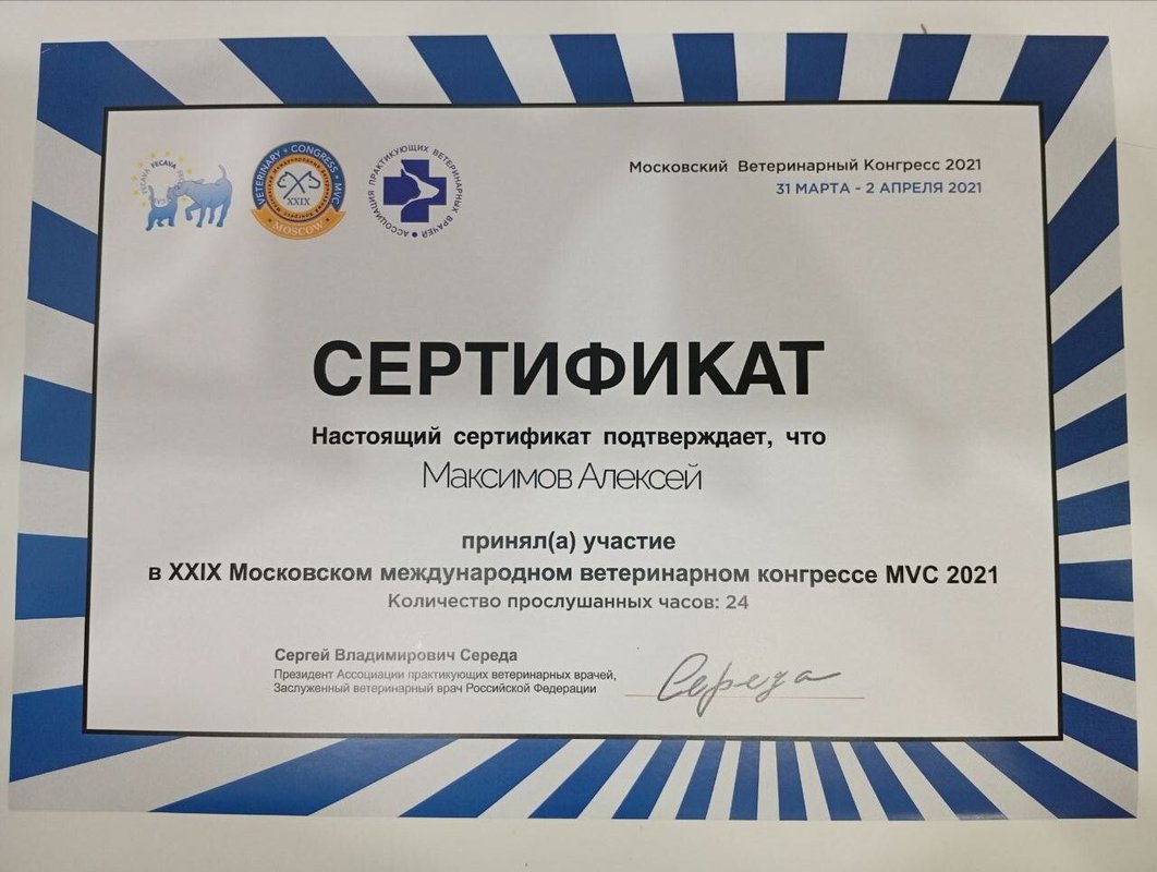 Документ или сертификат