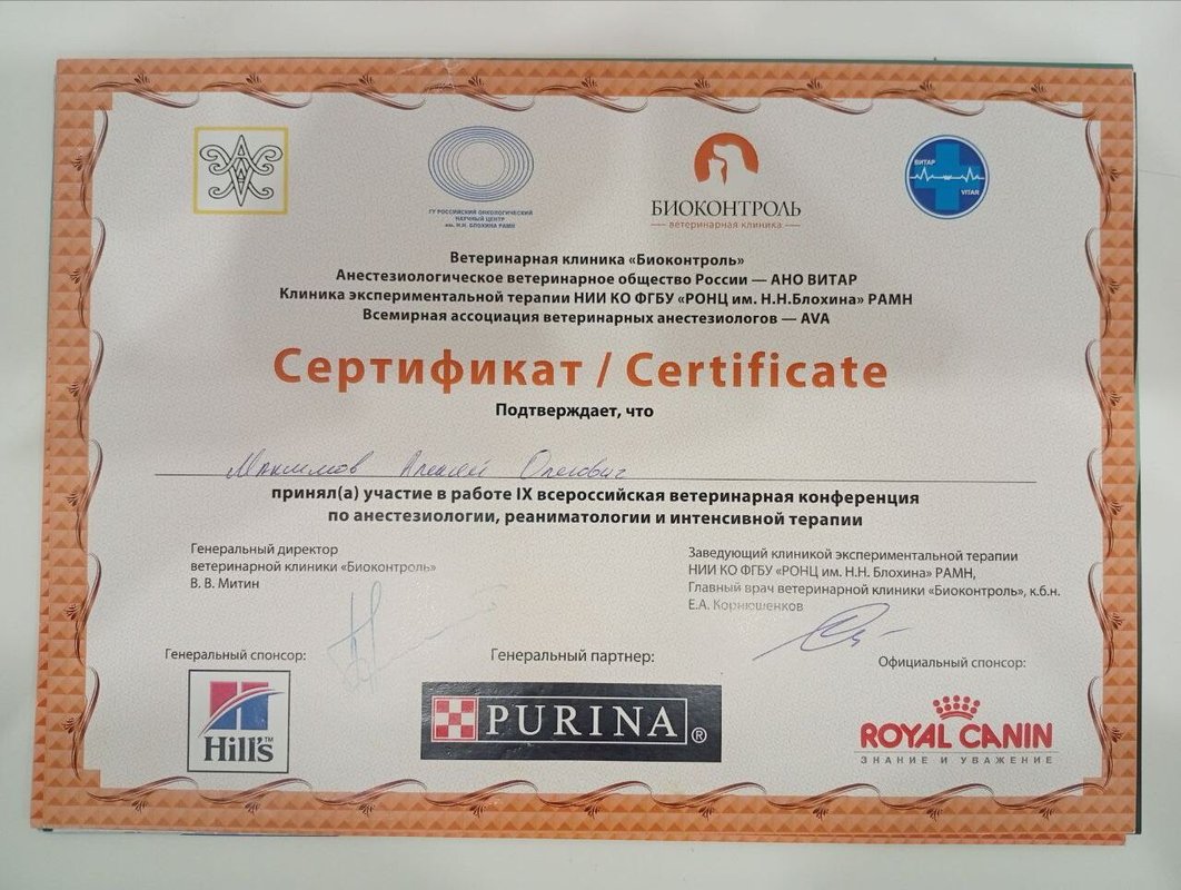 Документ или сертификат