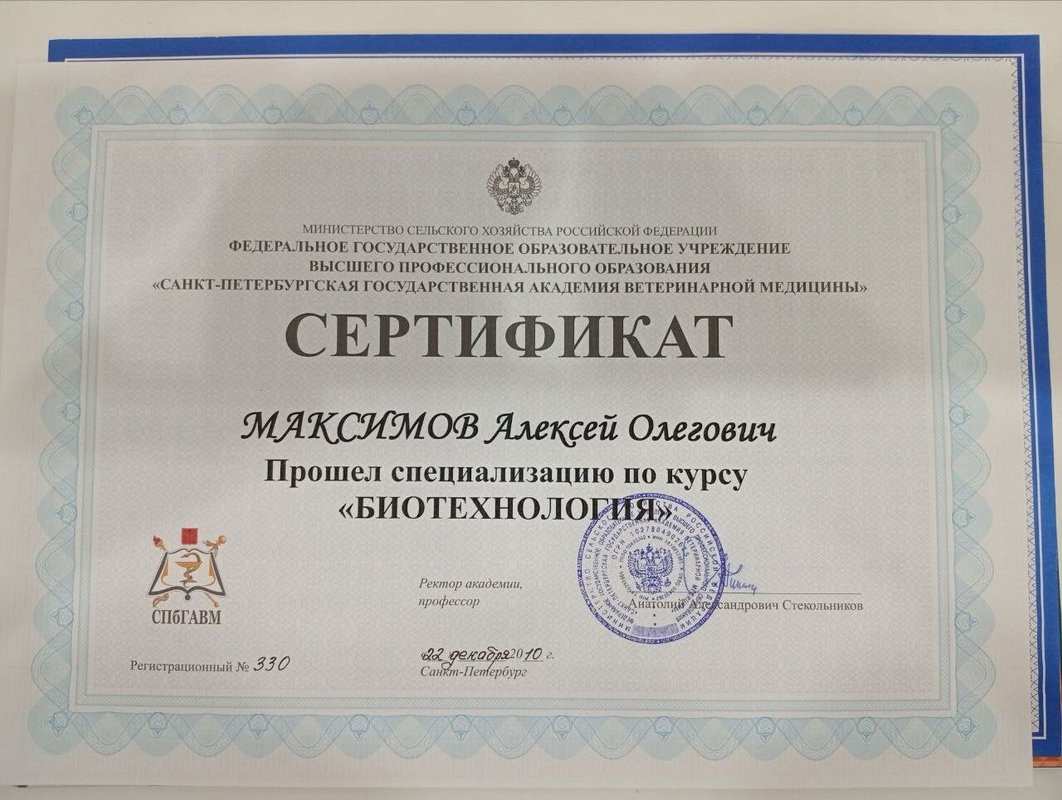 Документ или сертификат