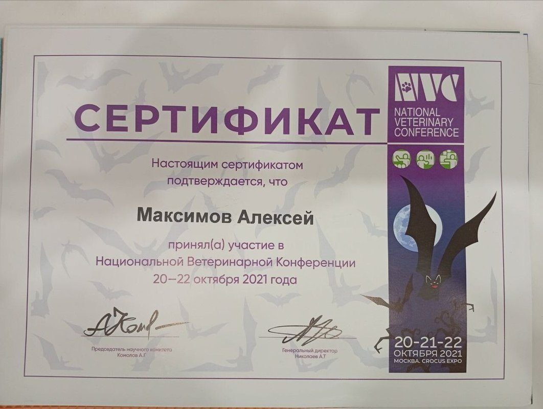 Документ или сертификат
