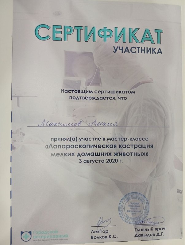 Документ или сертификат