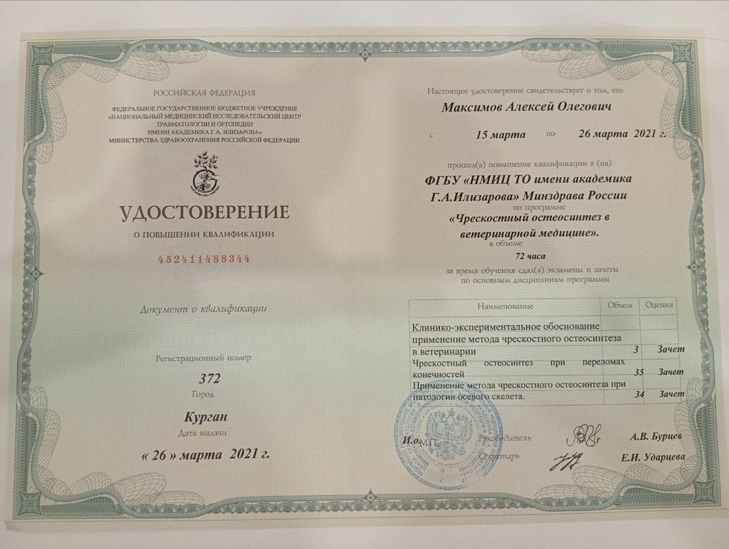 Документ или сертификат