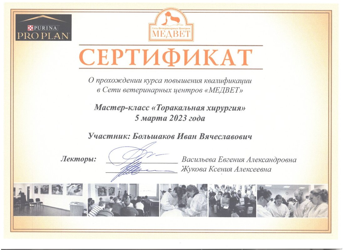 Документ или сертификат