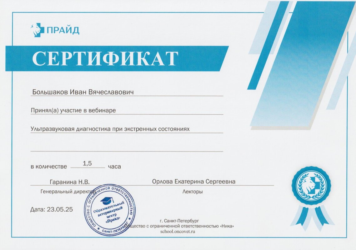 Документ или сертификат