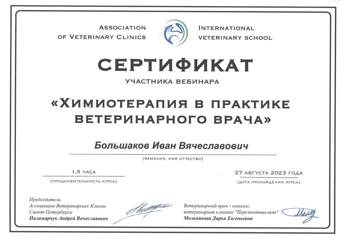Документ или сертификат
