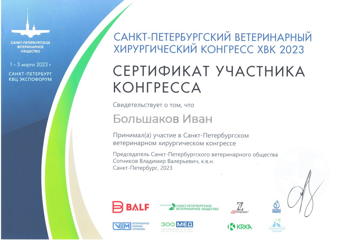 Документ или сертификат