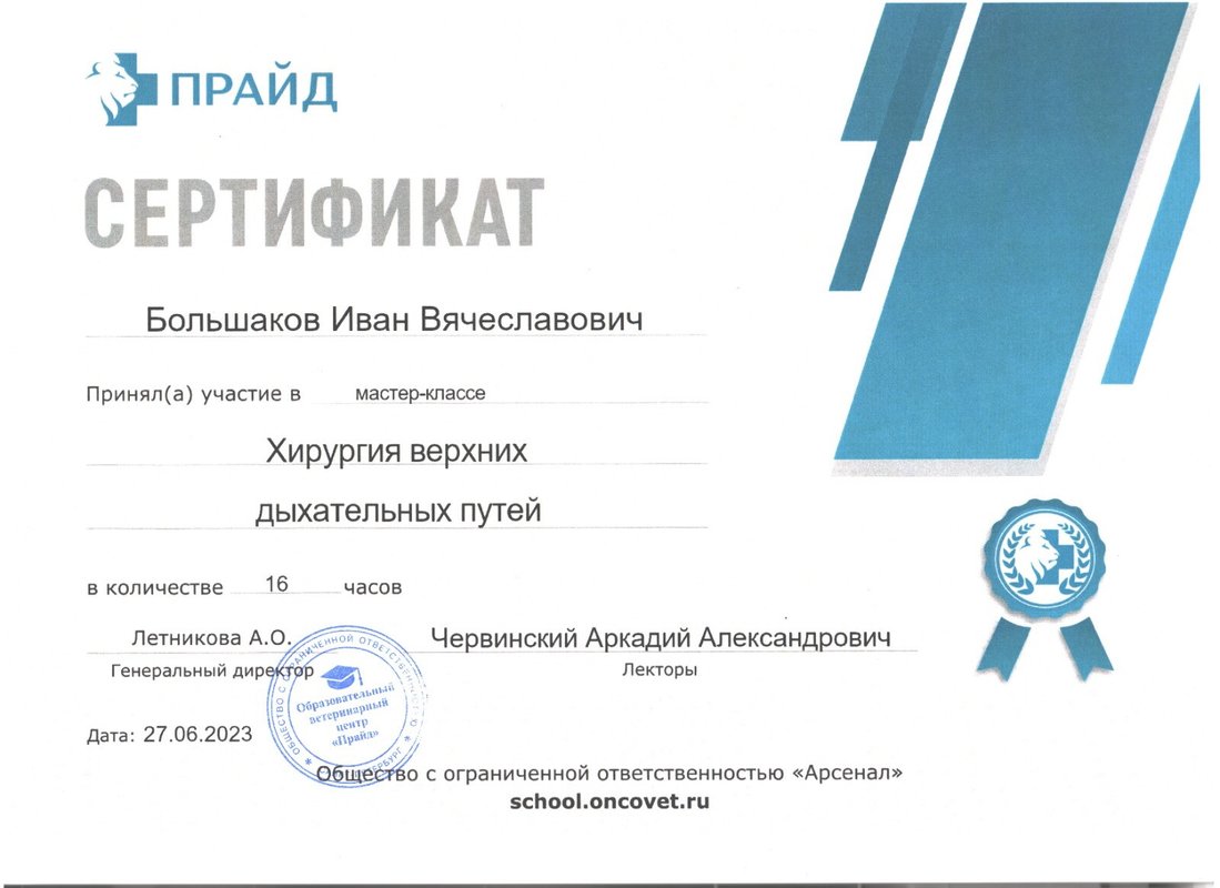 Документ или сертификат