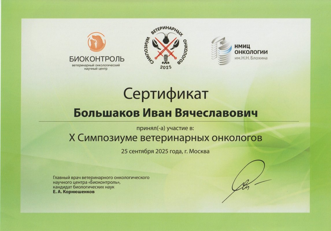Документ или сертификат