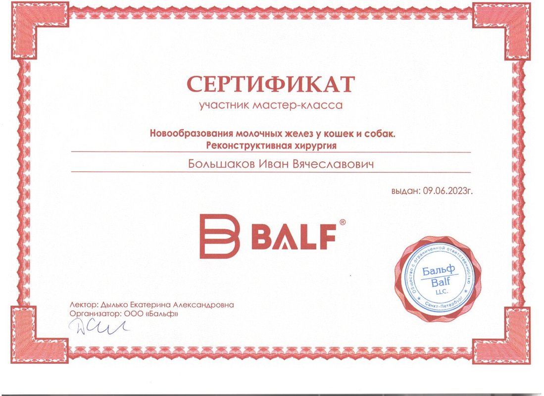 Документ или сертификат