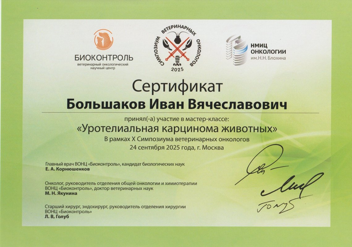 Документ или сертификат