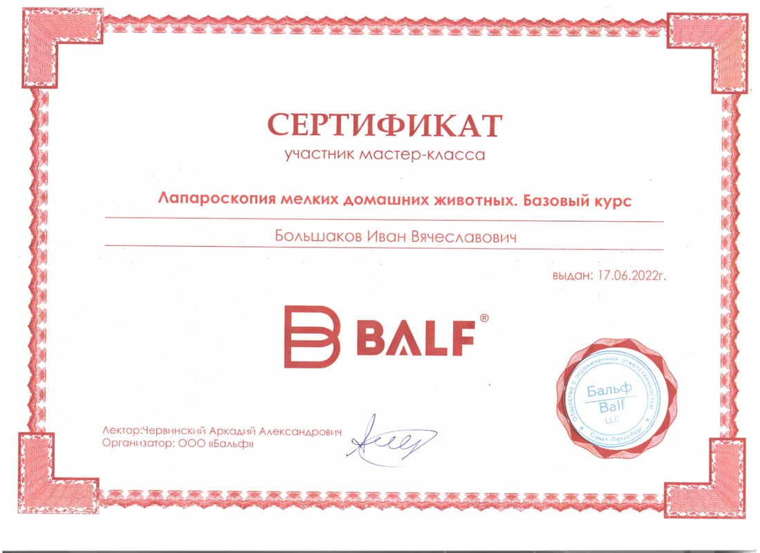 Документ или сертификат