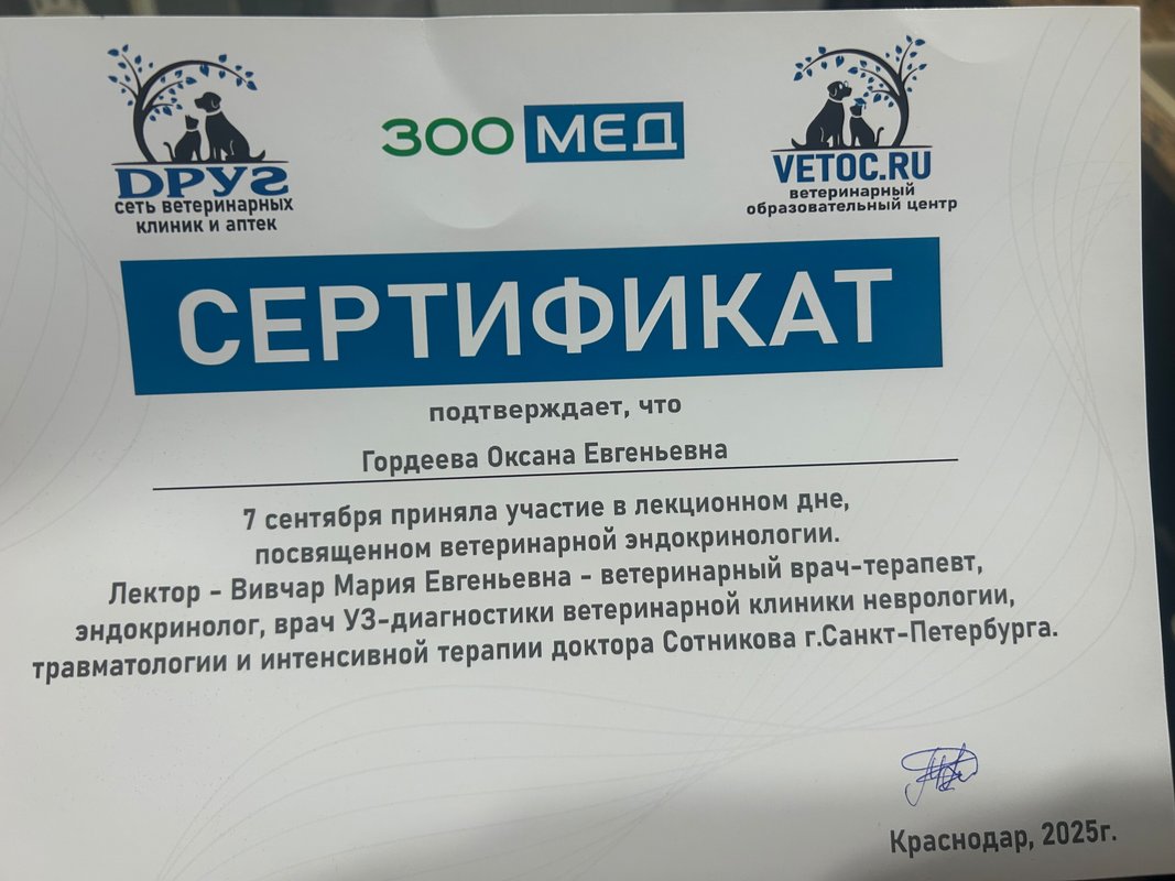 Документ или сертификат