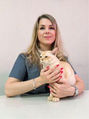 Фото врача Таловерова Елена Владимировна