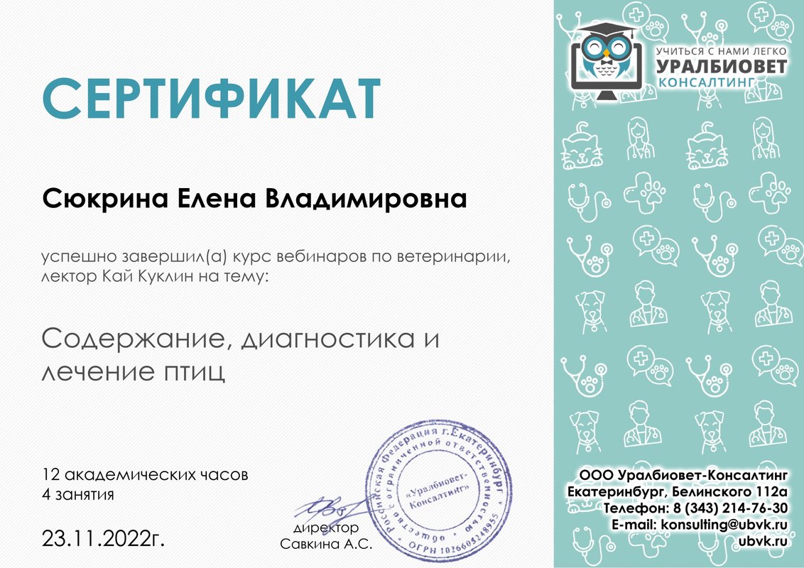 Документ или сертификат