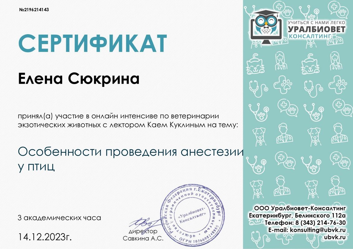 Документ или сертификат