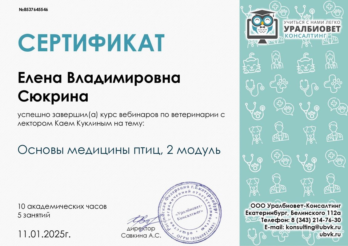 Документ или сертификат
