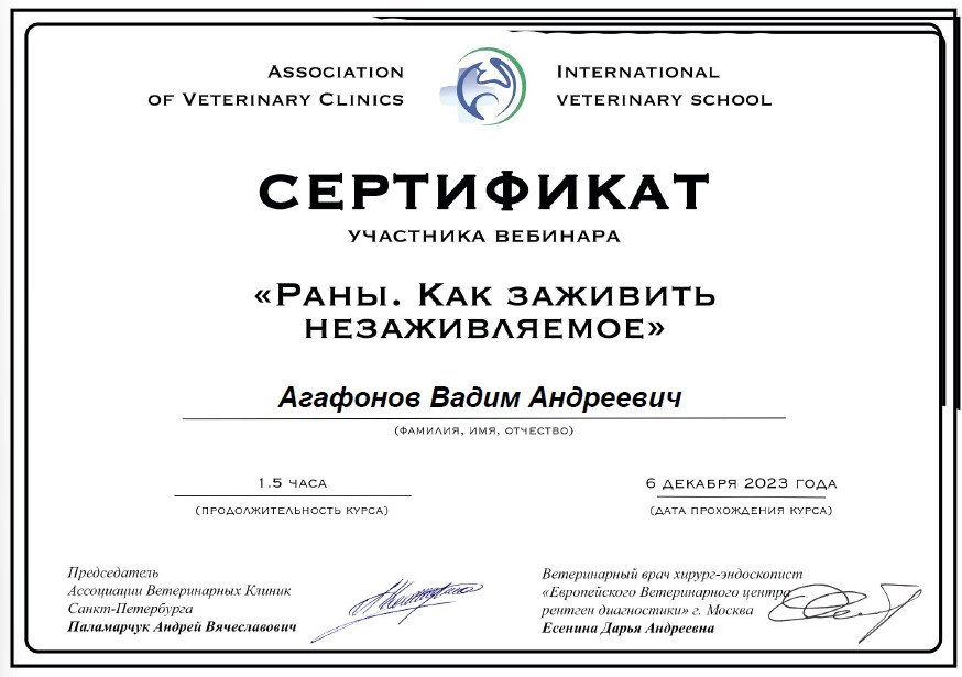 Документ или сертификат