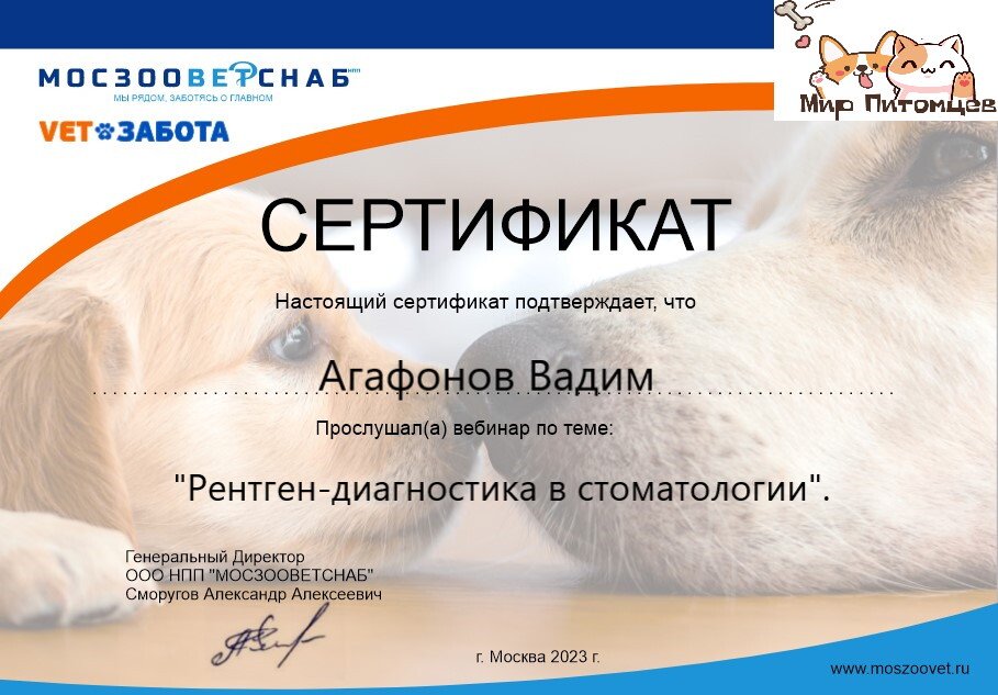 Документ или сертификат