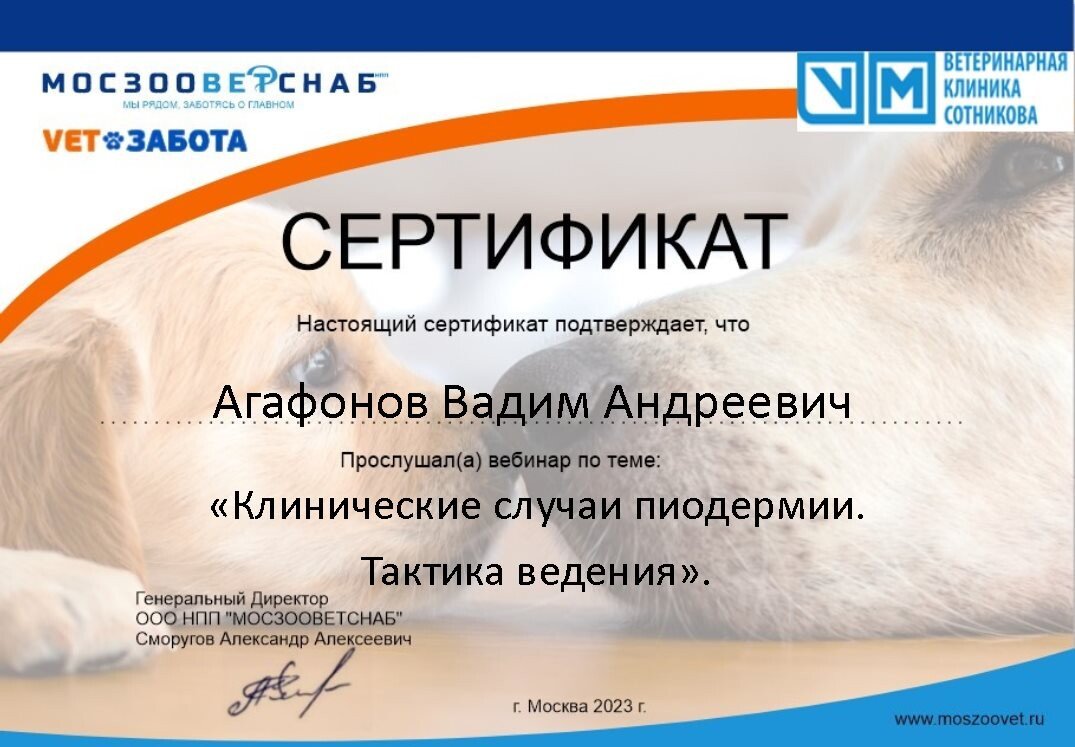 Документ или сертификат