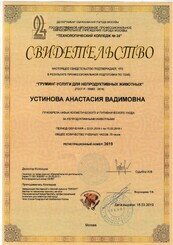 Документ или сертификат
