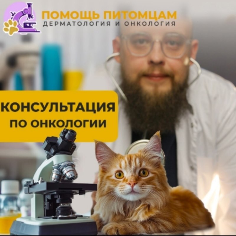 Фото врача