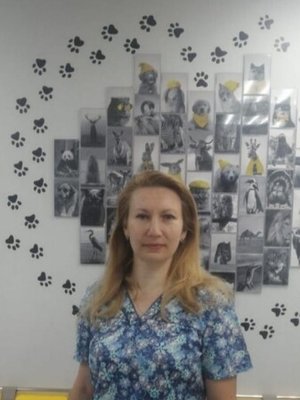 Фото врача Рябкова Наталья Александровна