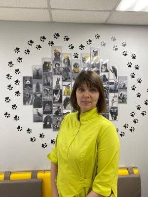 Фото врача Мешалова Елена Михайловна
