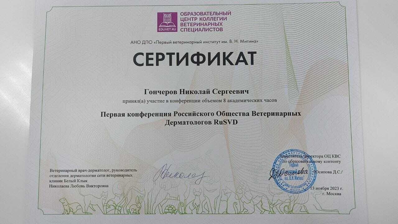Документ или сертификат
