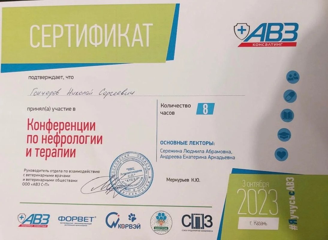 Документ или сертификат