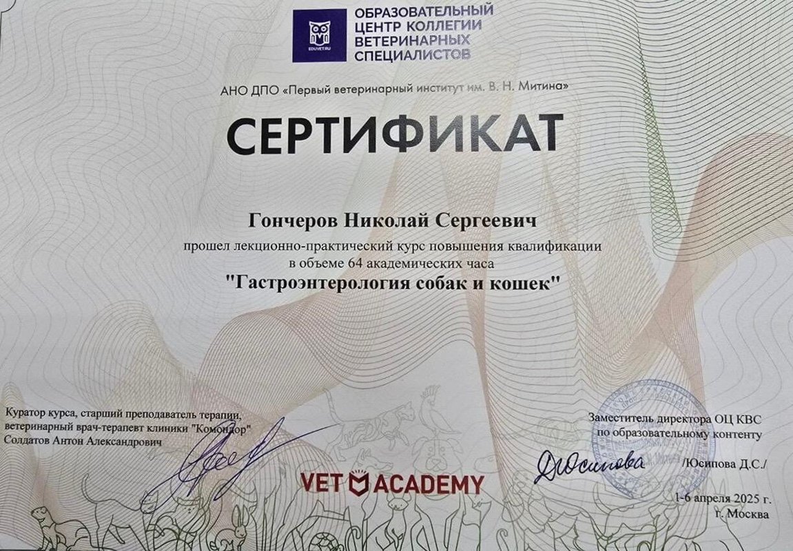 Документ или сертификат