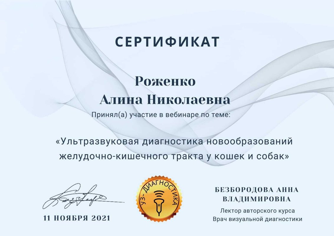 Документ или сертификат