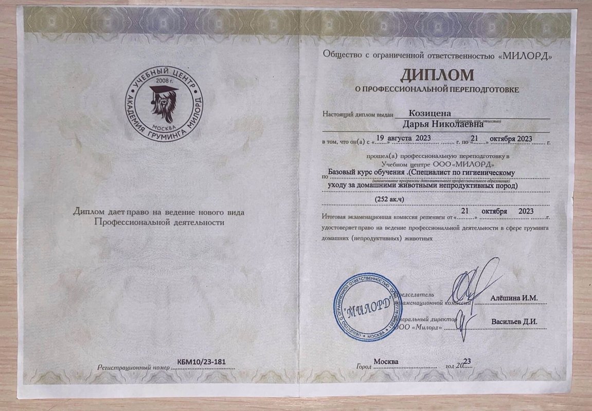 Документ или сертификат