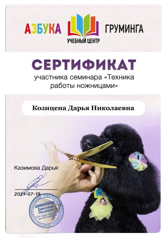 Документ или сертификат