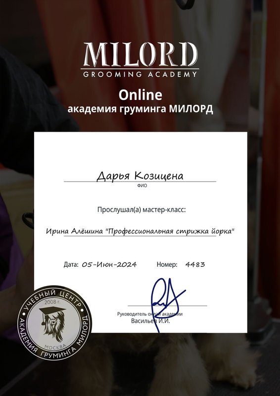 Документ или сертификат