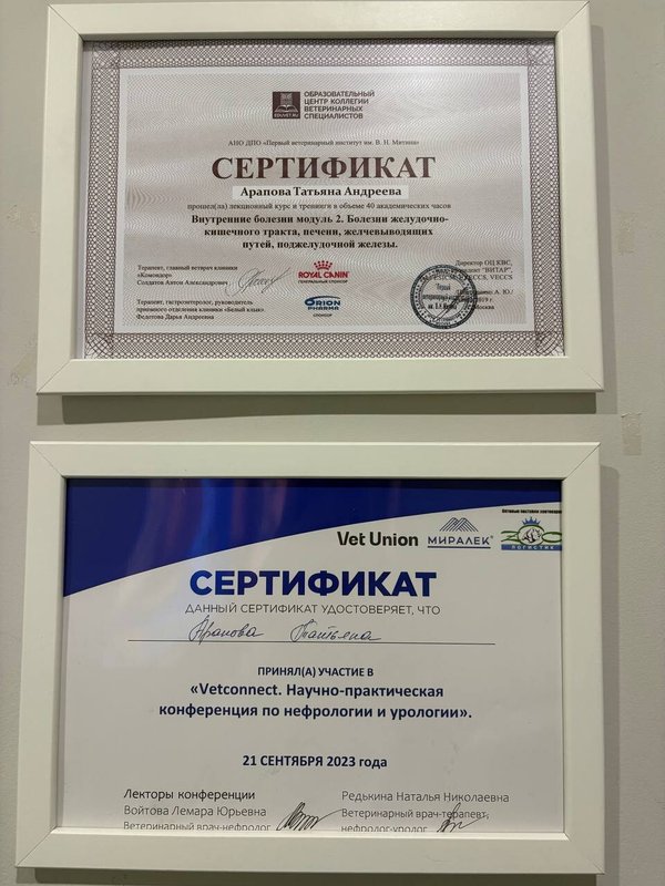 Документ или сертификат
