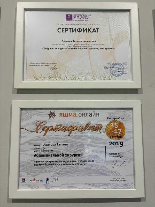 Документ или сертификат