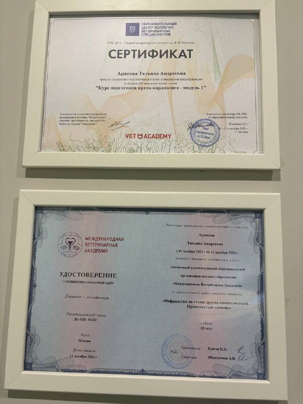 Документ или сертификат