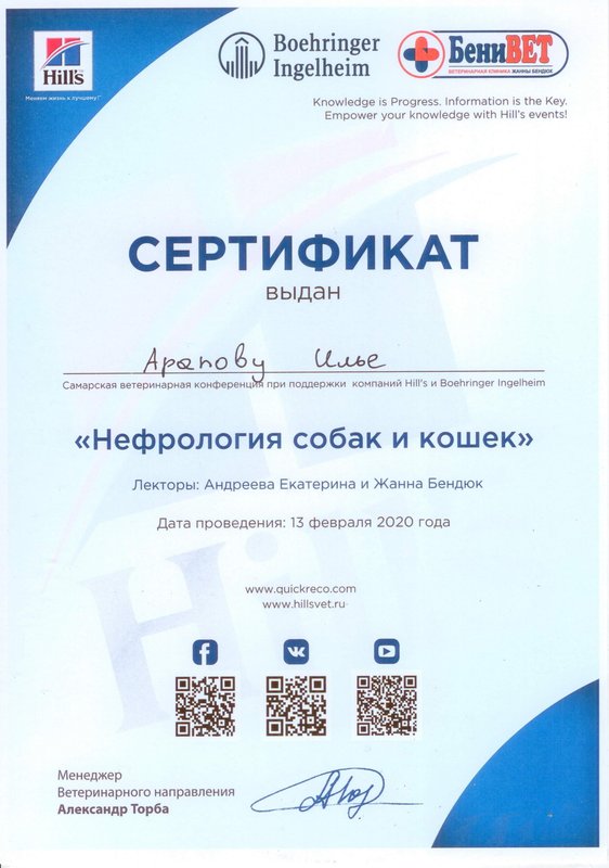 Документ или сертификат