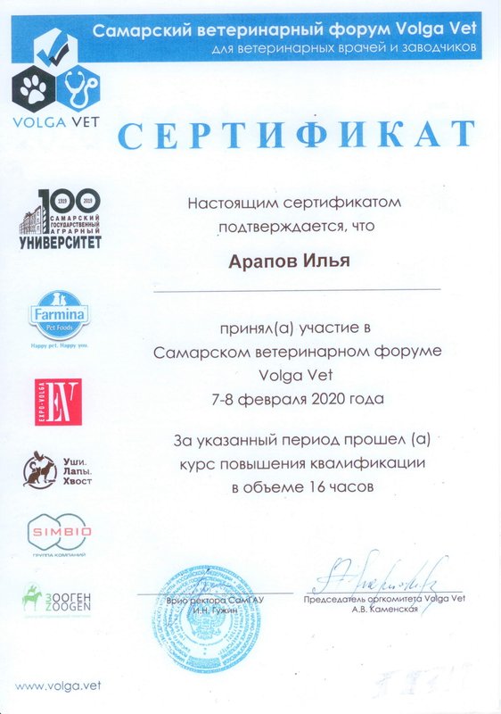 Документ или сертификат