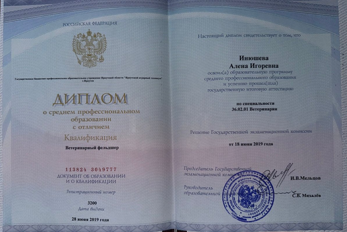 Документ или сертификат