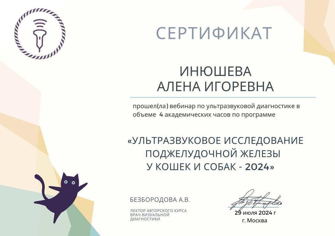 Документ или сертификат