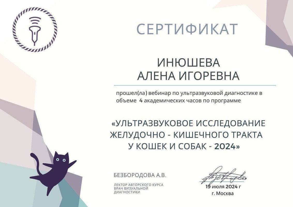 Документ или сертификат