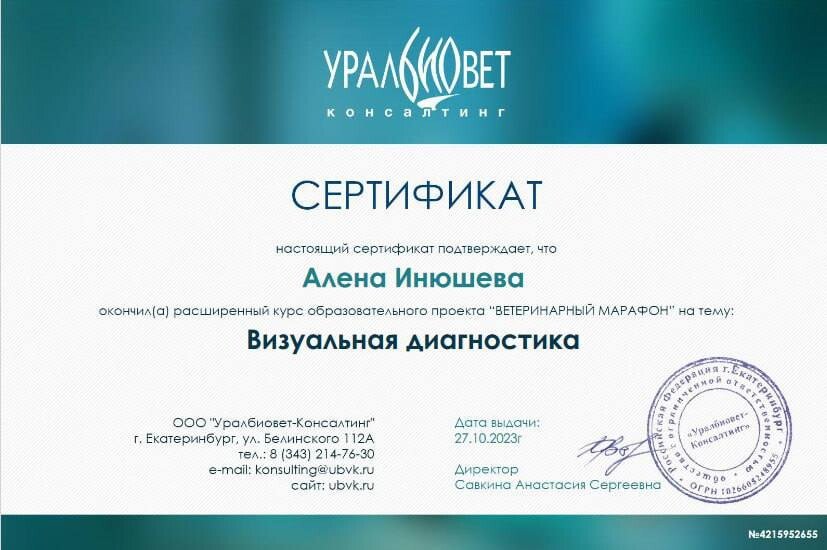 Документ или сертификат