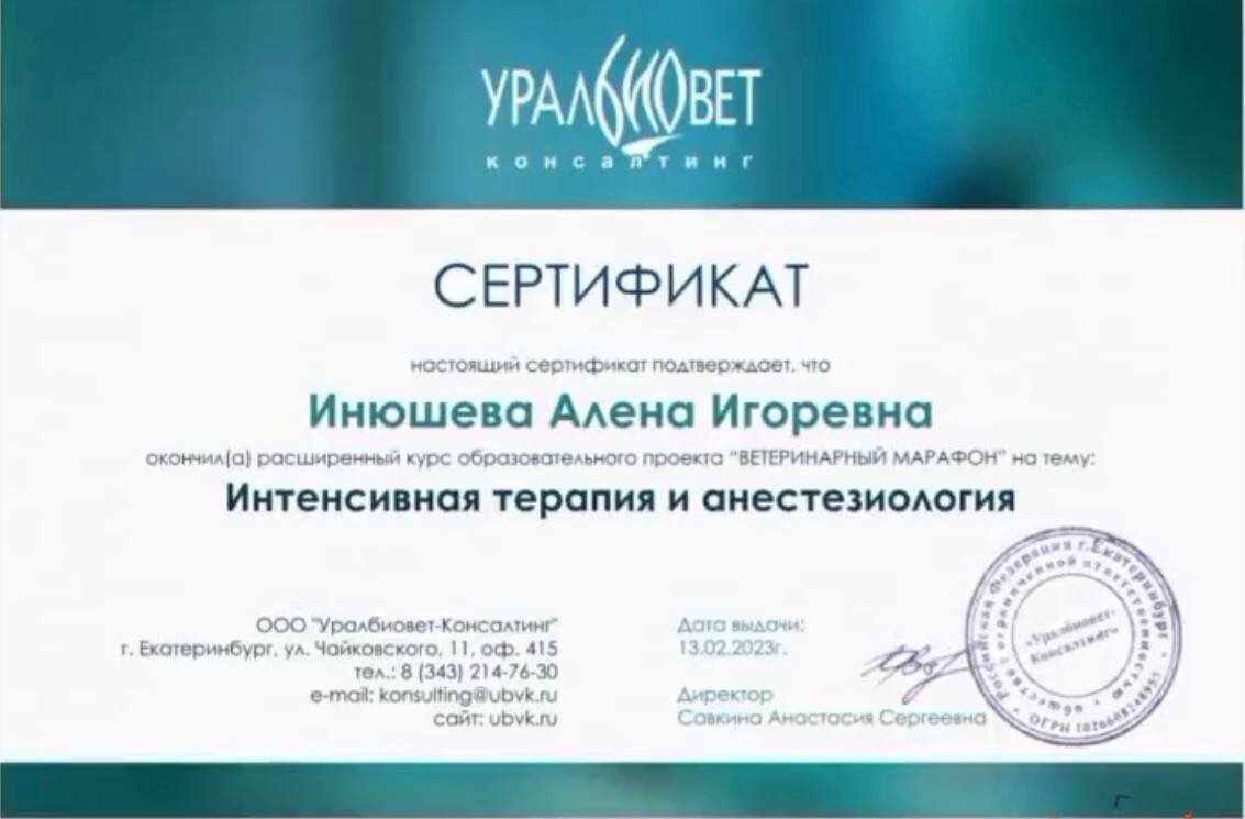 Документ или сертификат