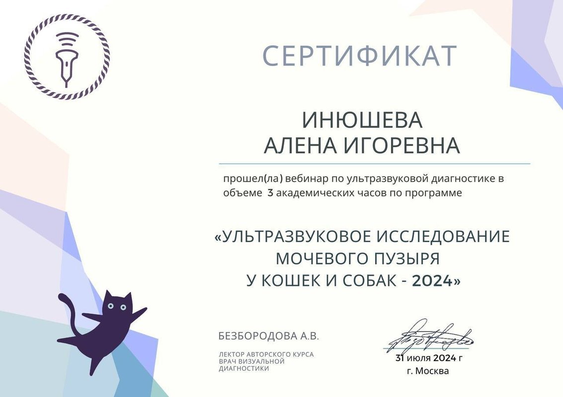 Документ или сертификат